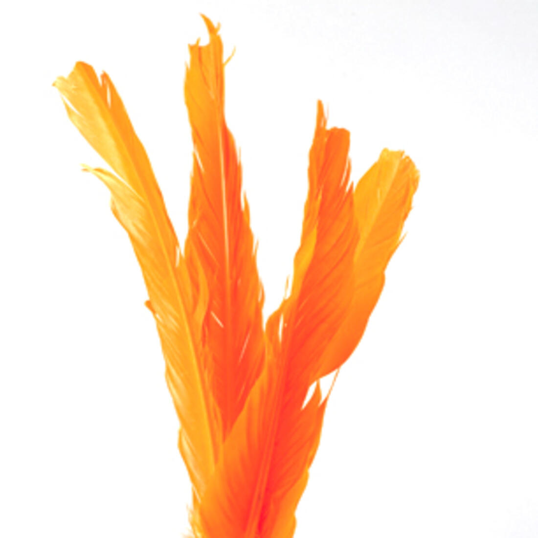 Veren voor indiaka's Veren voor indiaka's