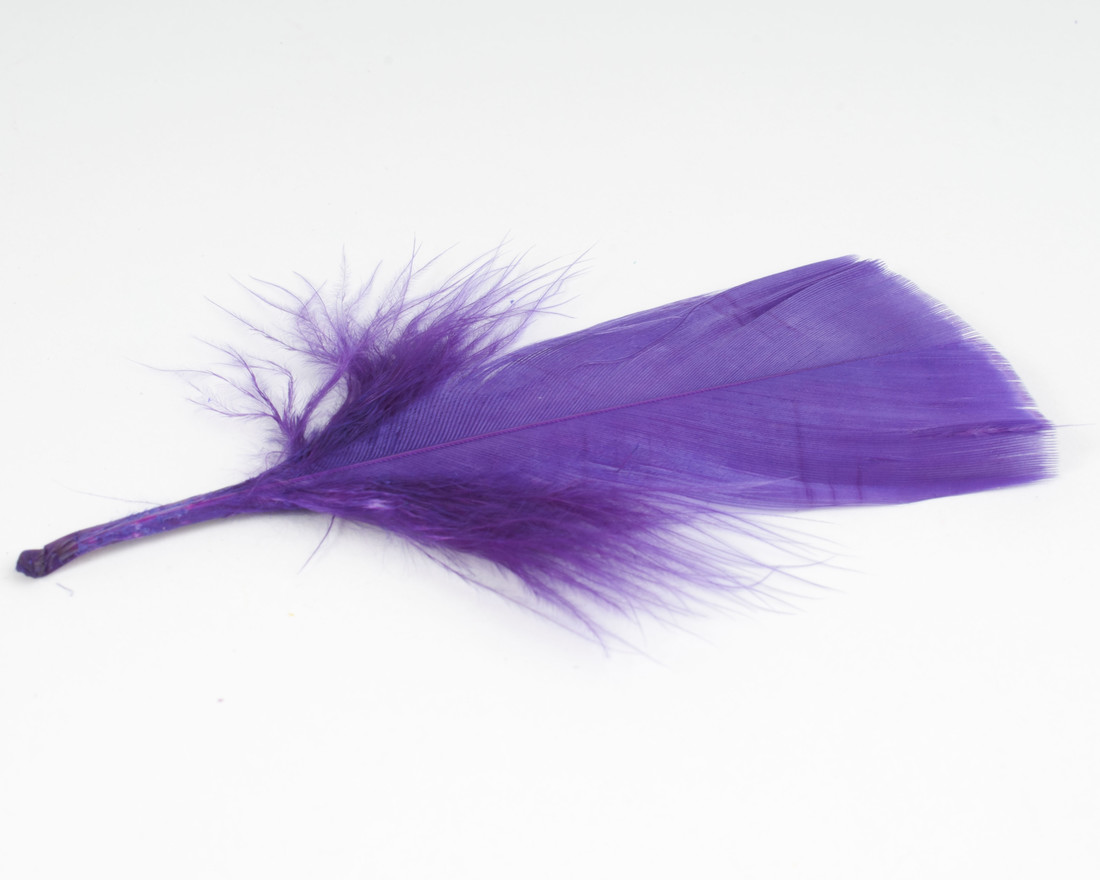 Pluim turckey 5 à 10 cm ca. 80 stuks Pluim turckey 5 à 10 cm ca. 80 stuks