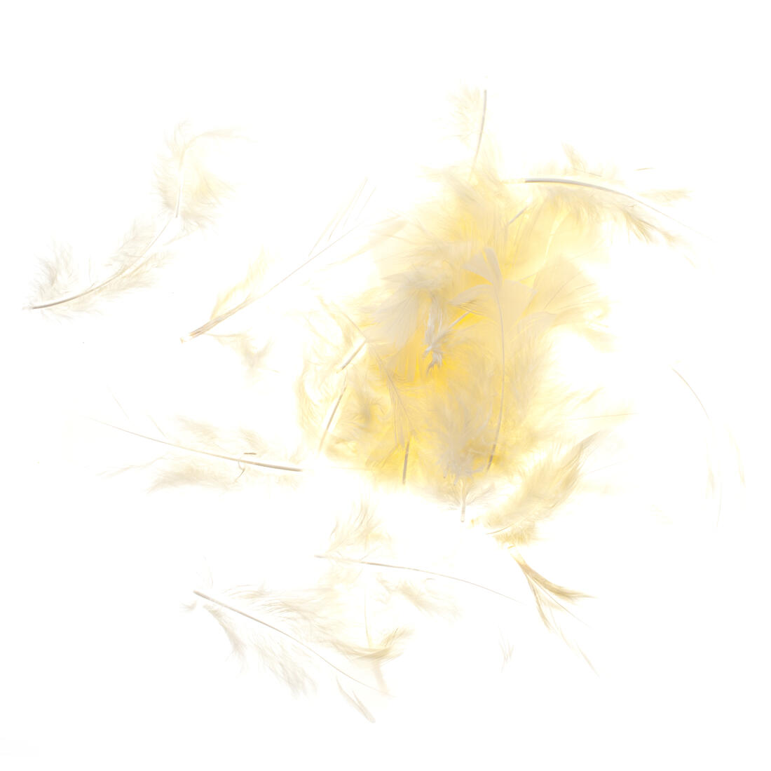 Pluim turckey 5 à 10 cm ca. 80 stuks Pluim turckey 5 à 10 cm ca. 80 stuks