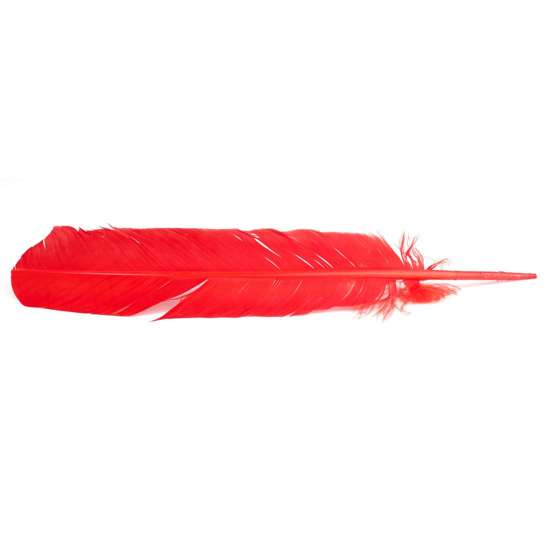 Indianenpluimen ca. 30 cm 6 stuks