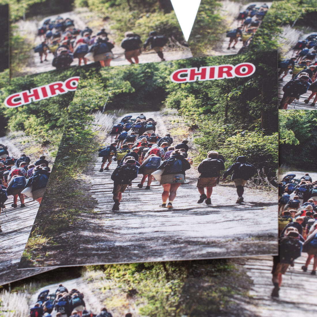 Bivakpostkaart 25 tocht door bos 20 stuks Bivakpostkaart 25 tocht door bos 20 stuks