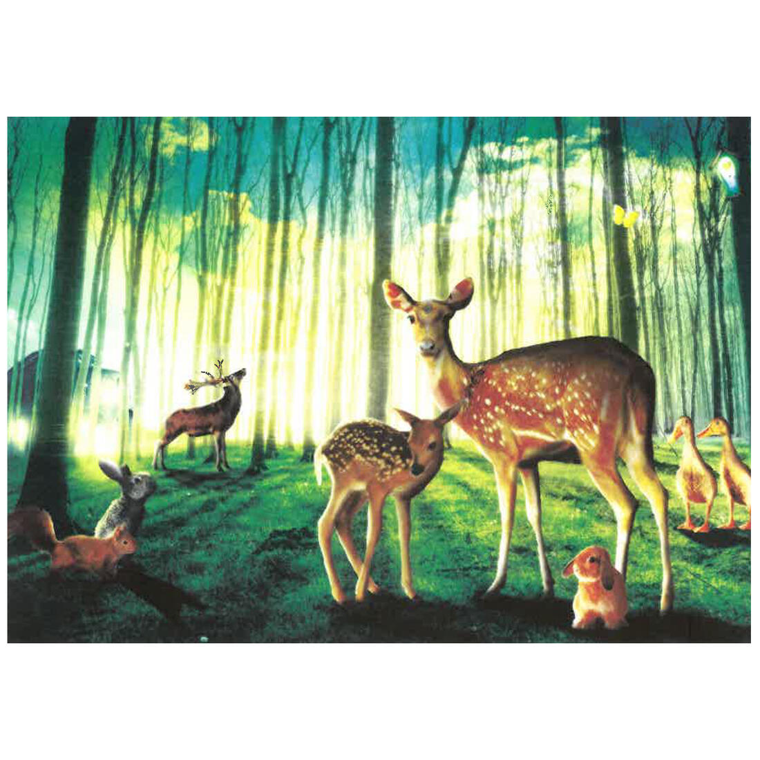 Postkaart - Dierenbos