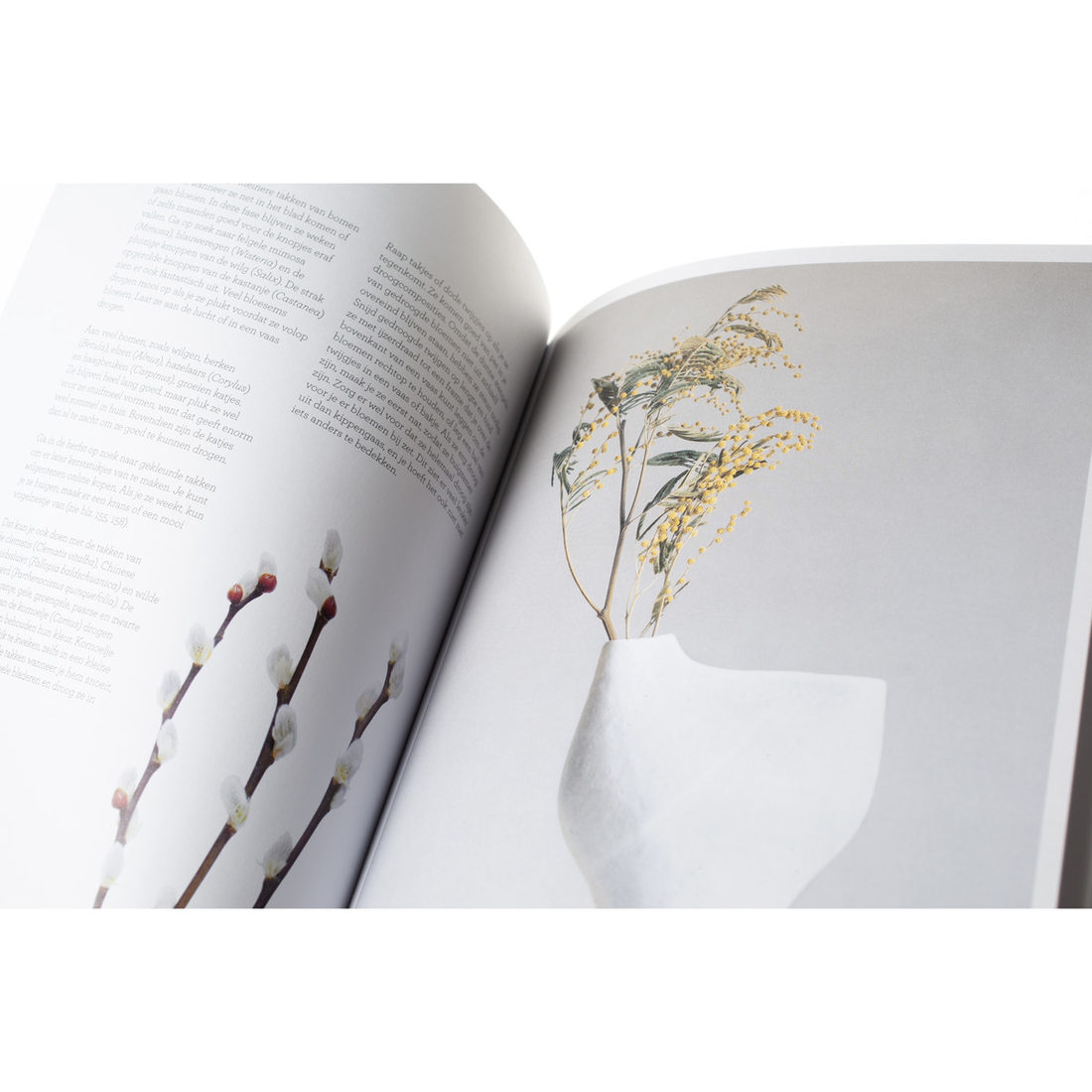 Bloemen drogen & droogbloemen Bloemen drogen & droogbloemen