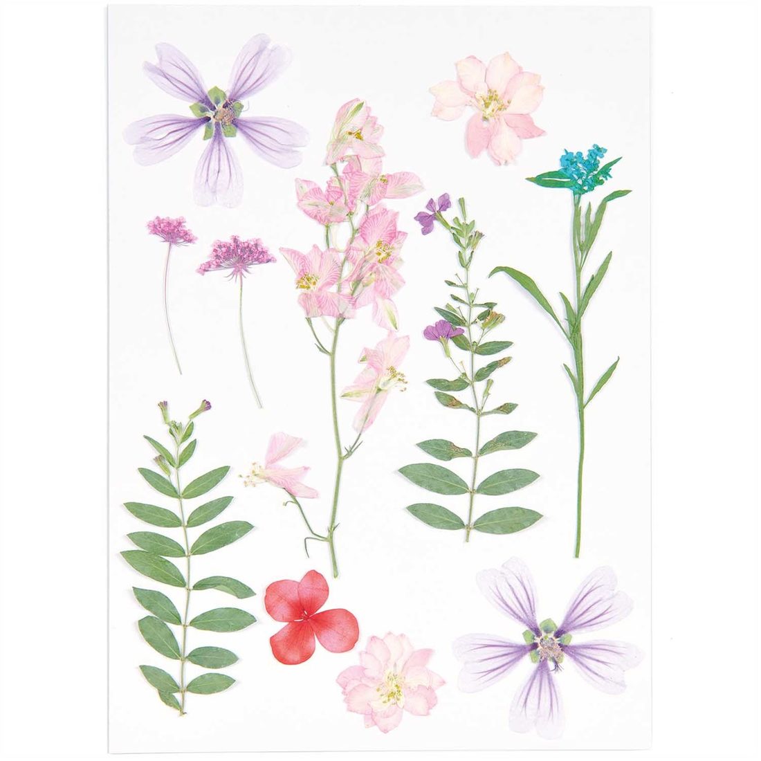 Geperste bloemen mix violet roze