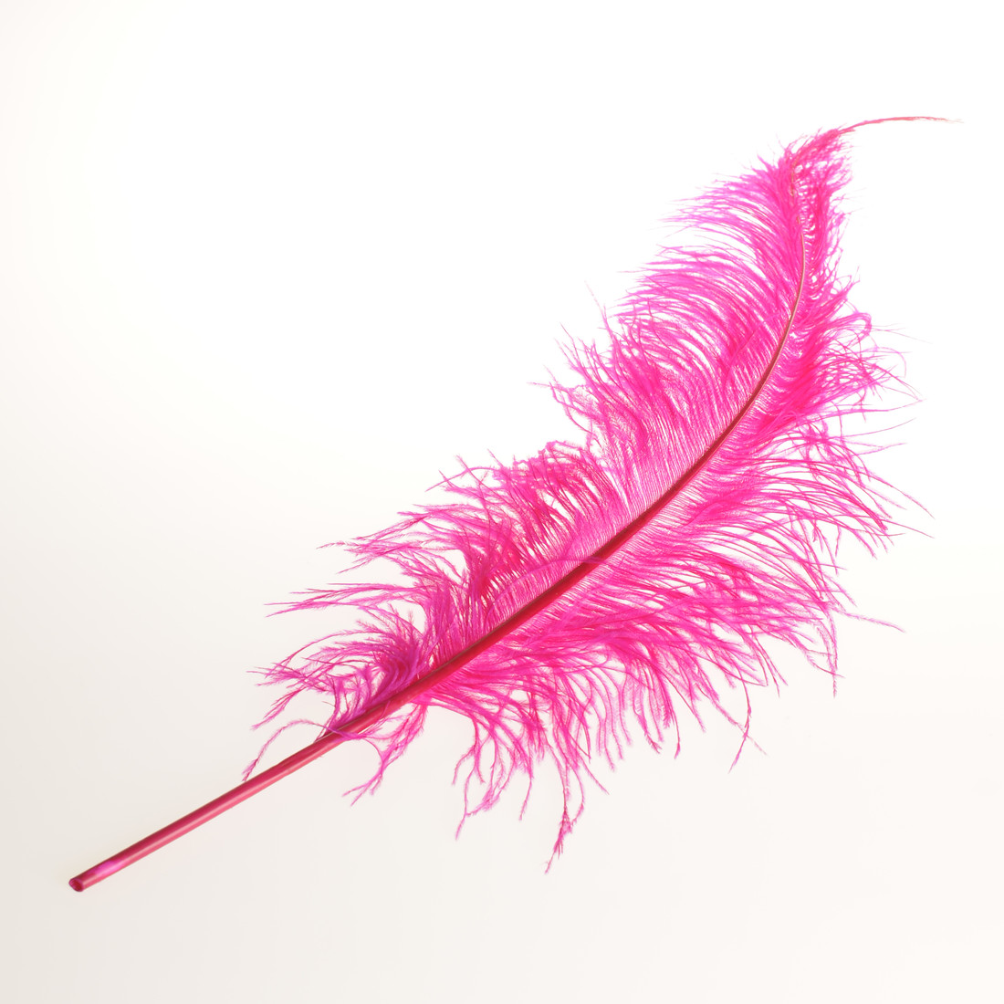 Krea Feathers pluim struisvogel 60 cm