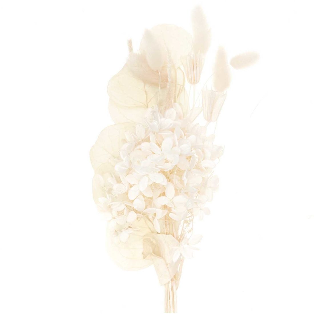 Droogbloemen mix 30 cm naturel wit