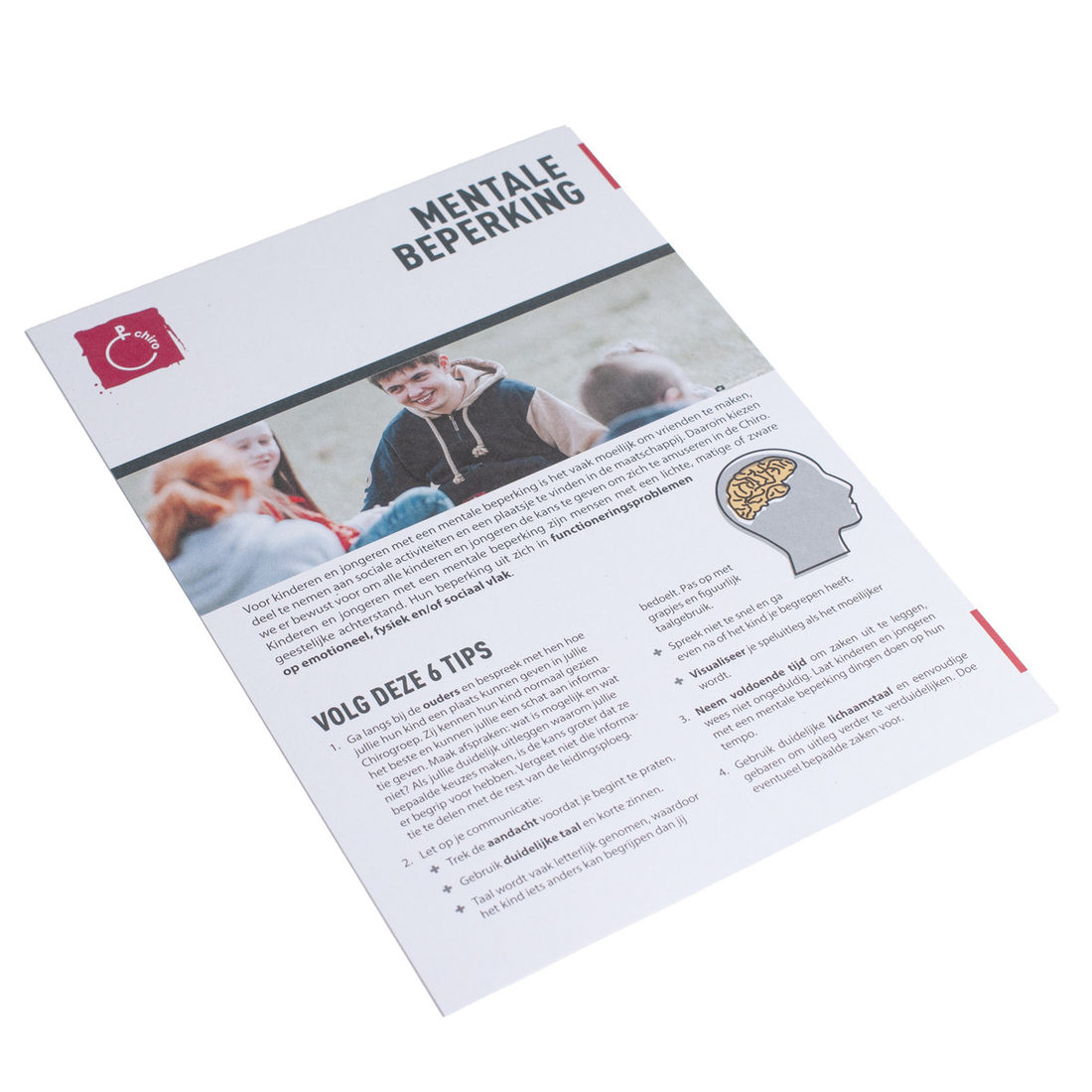 Diversiteitsfiche: mentale beperking