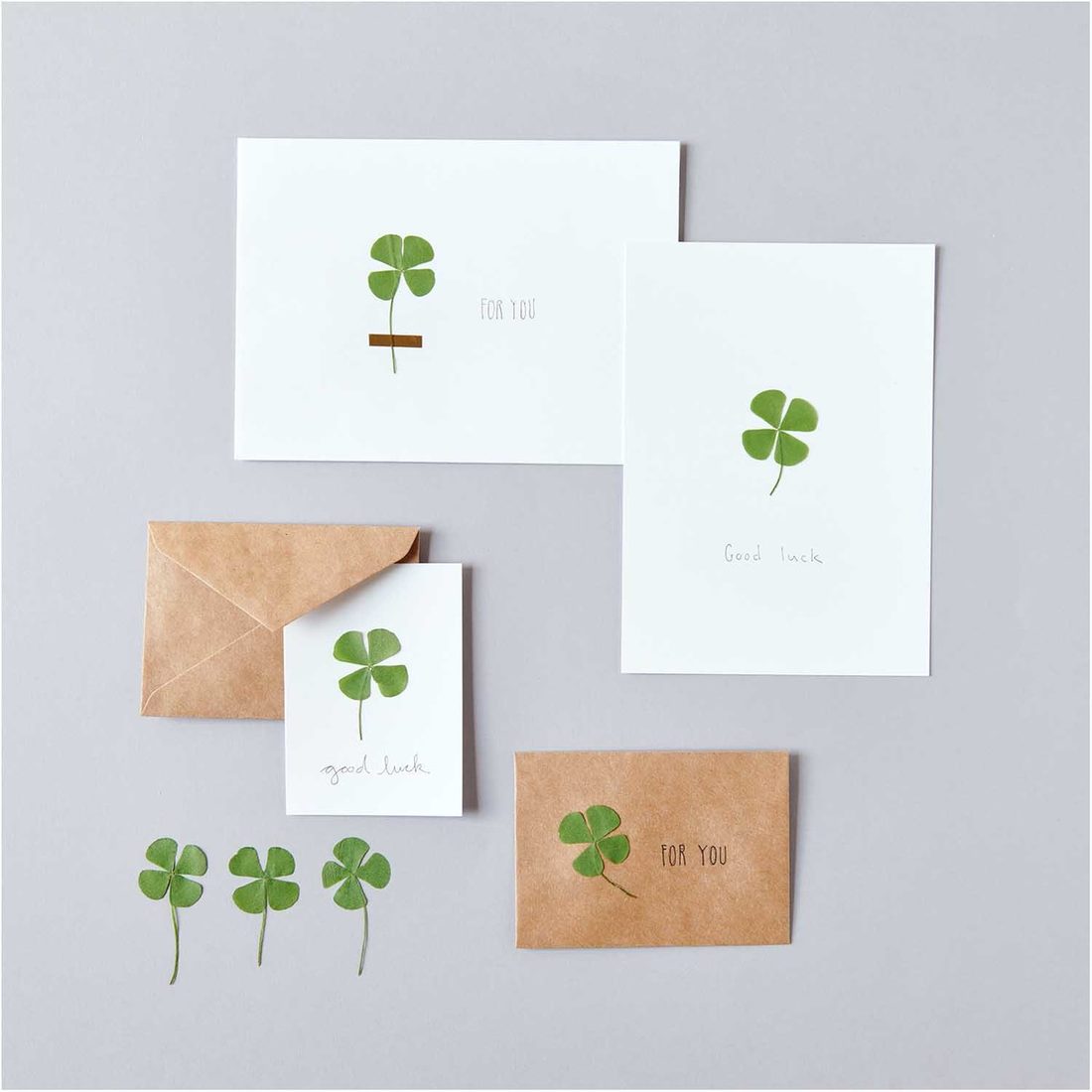 Geperste planten klavertjes Geperste planten klavertjes