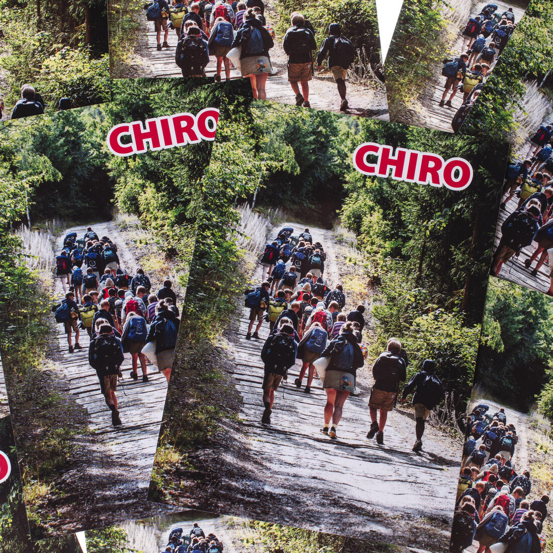 Bivakpostkaart 25 tocht door bos 20 stuks Bivakpostkaart 25 tocht door bos 20 stuks