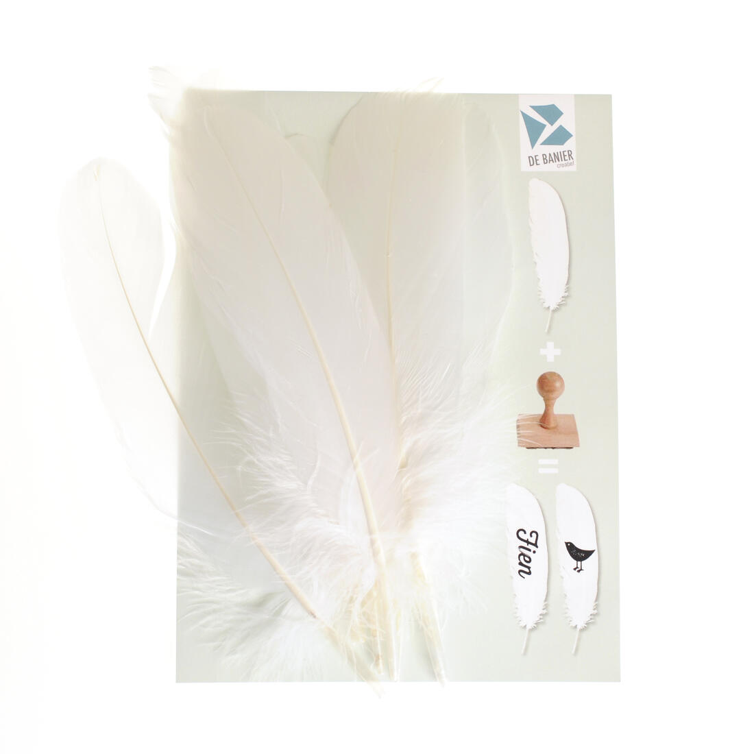 Veren om te bestempelen 8 stuks wit Veren om te bestempelen 8 stuks wit