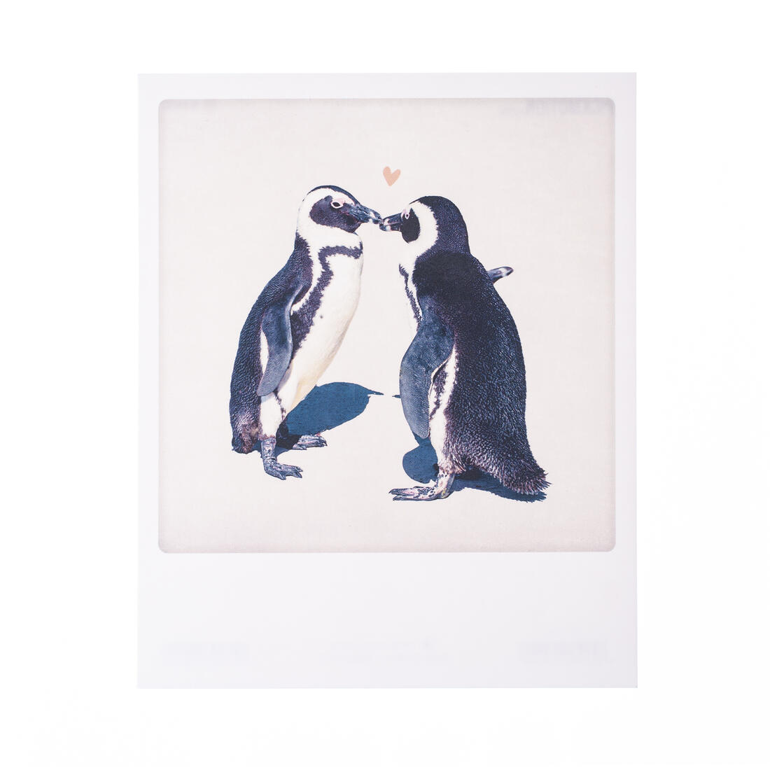 Postkaart - Love pinguins