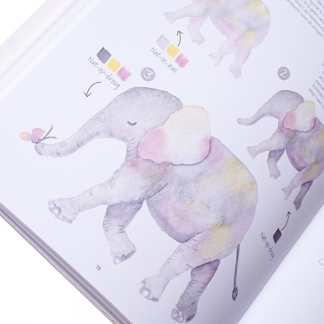 Aquarel in 30 minuten Aquarel in 30 minuten