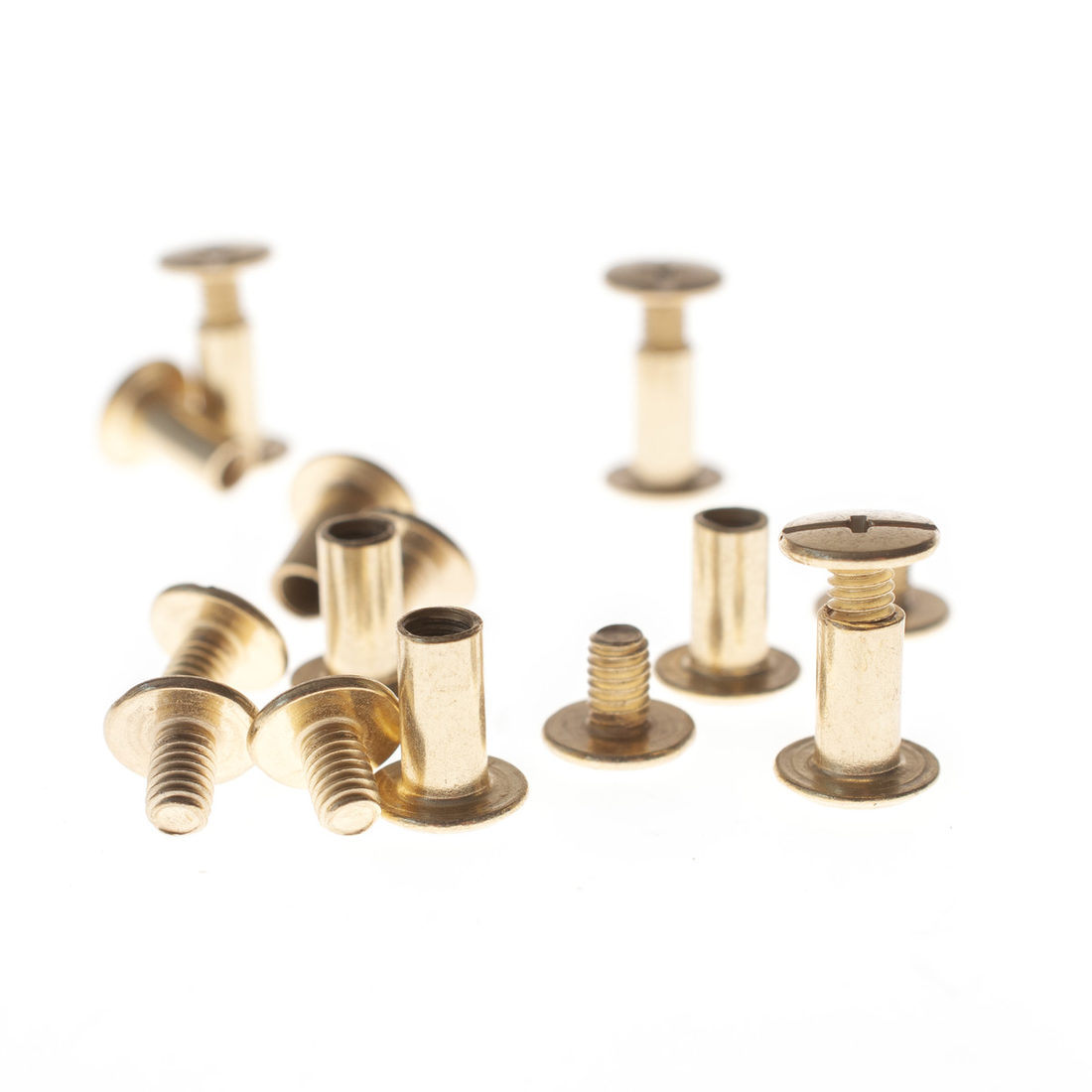 Bevestigingsschroef 20 stuks Bevestigingsschroef 20 stuks