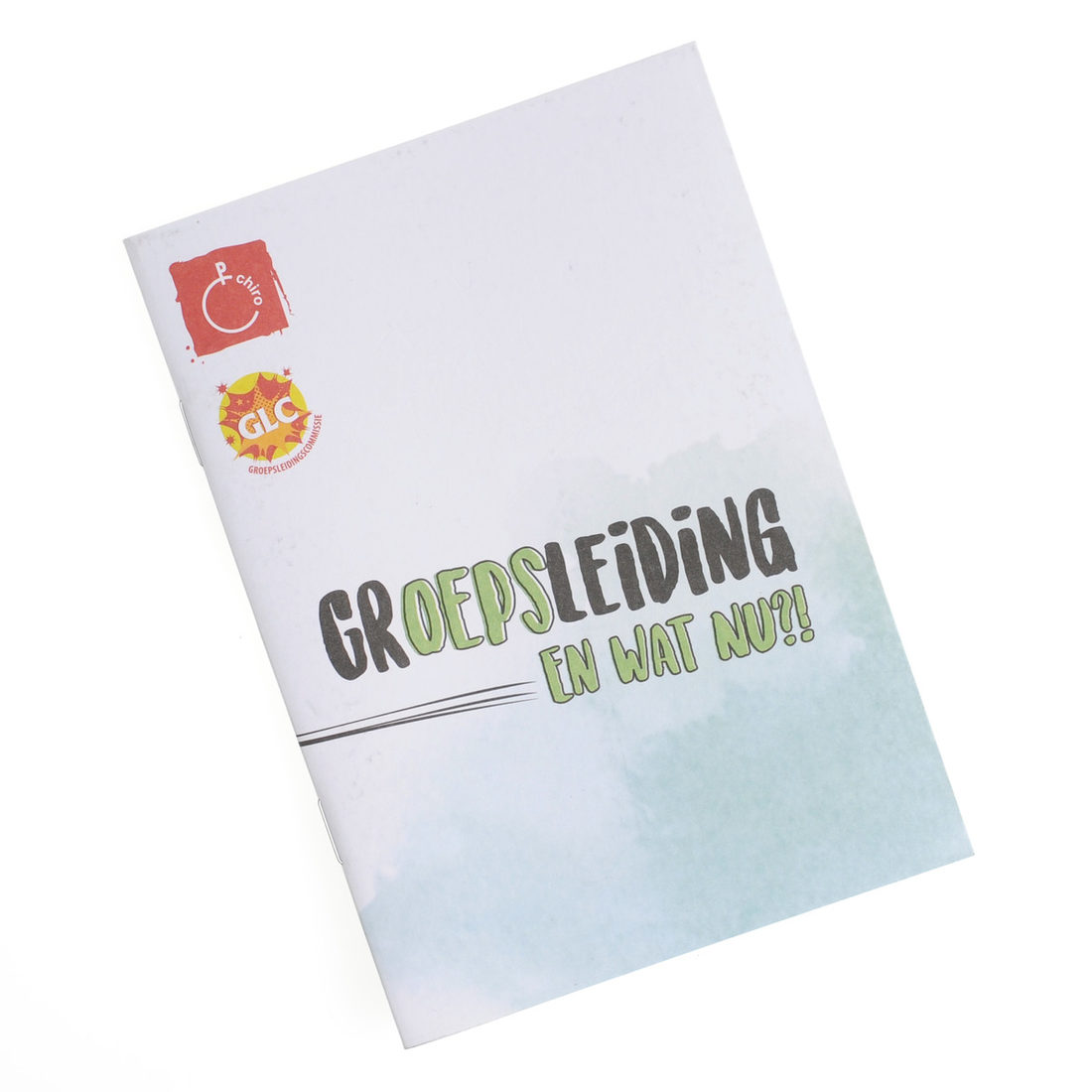 Groepsleiding, en wat nu?