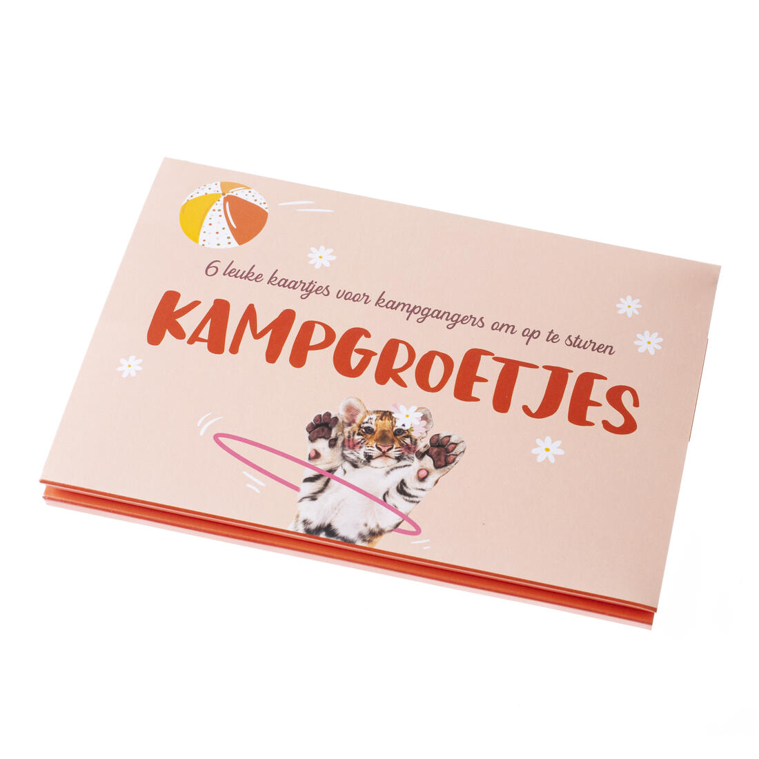 Kampgroetjes 6 stuks Tijger