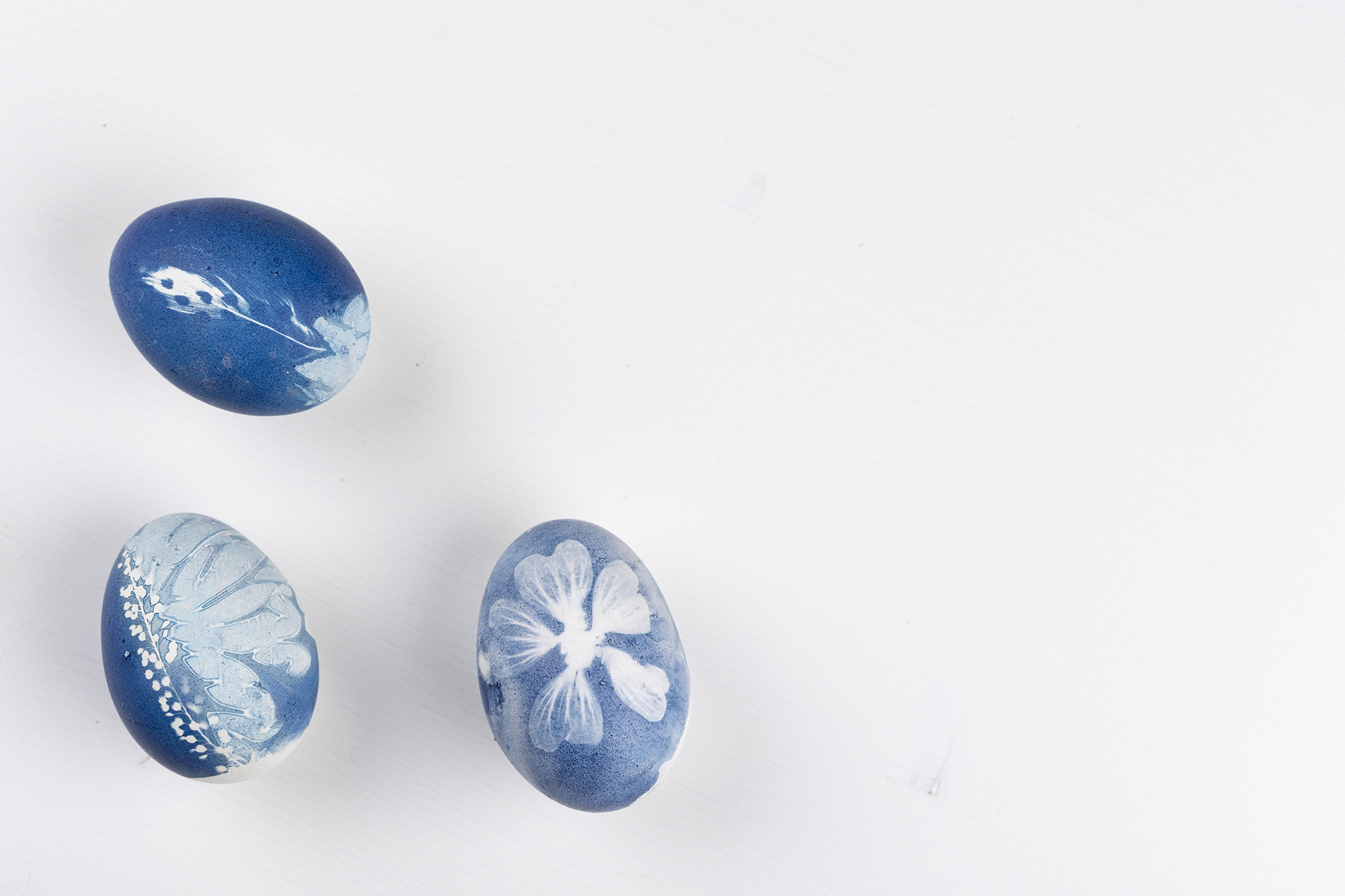 Blauwdrukken op eieren