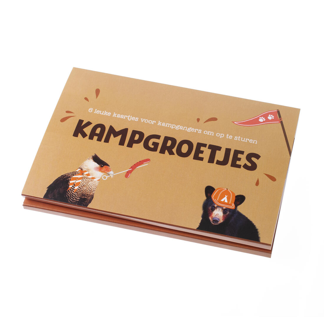 Kampgroetjes 6 stuks Arend & Beer