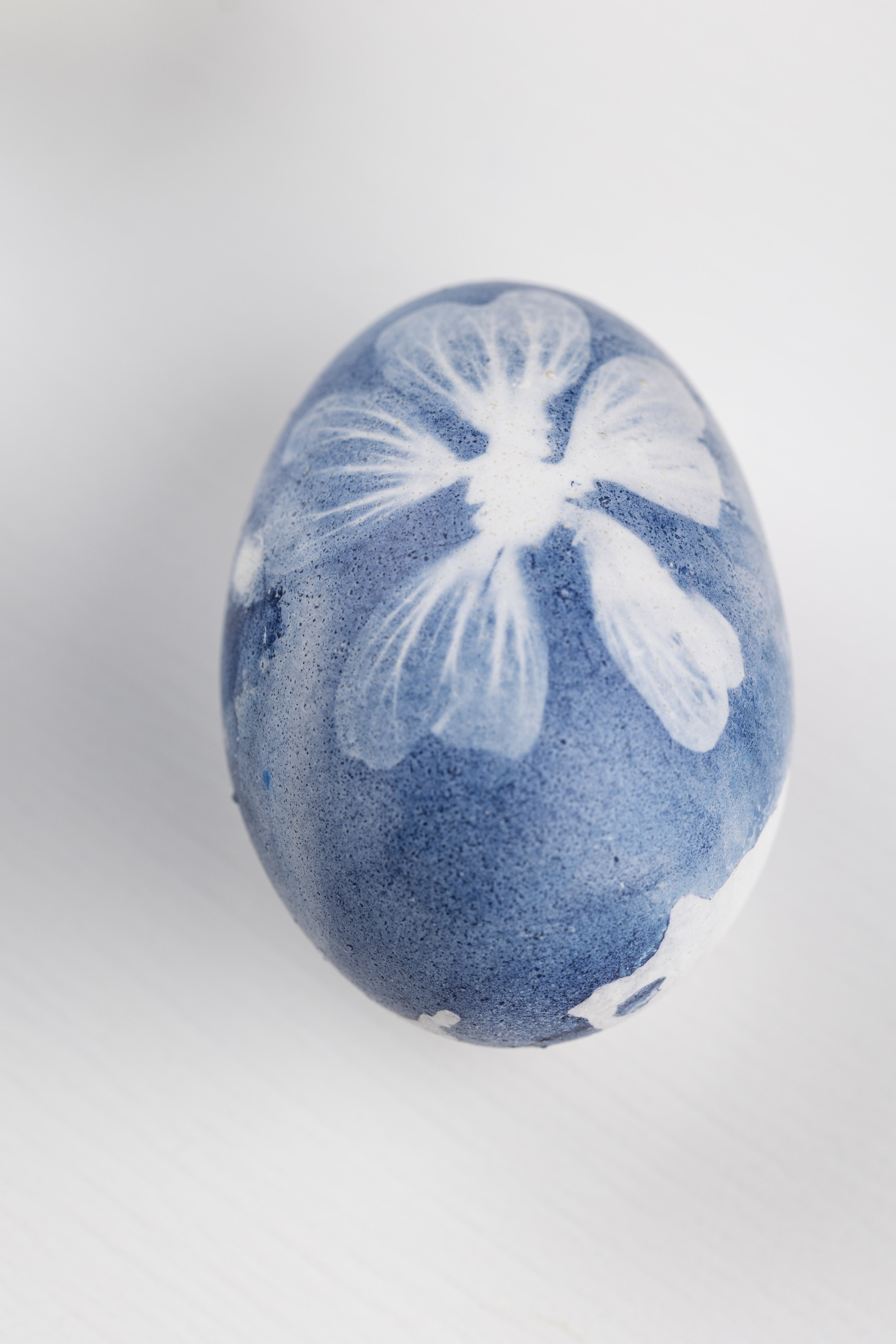 Blauwdrukken op eieren