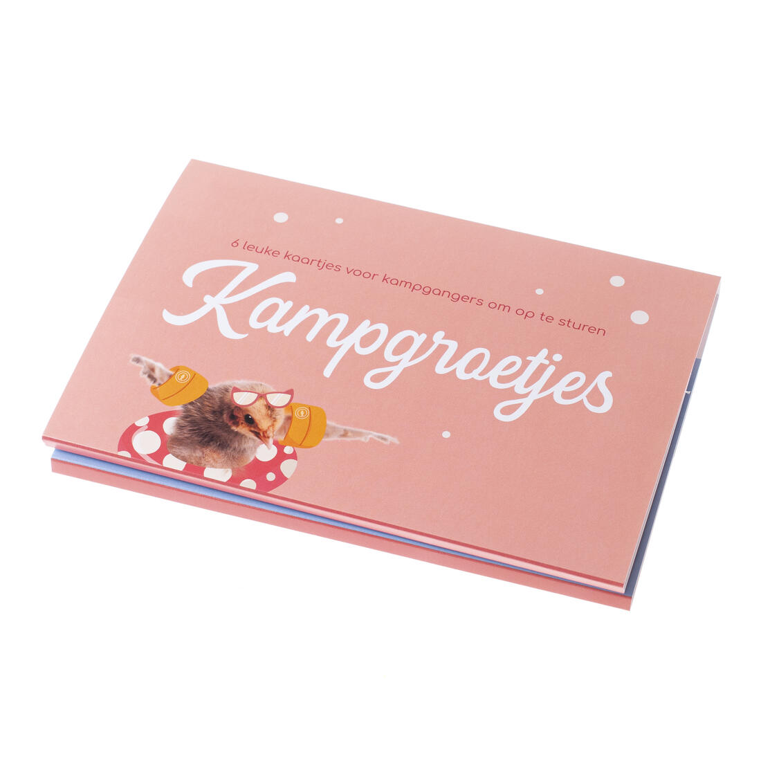 Kampgroetjes 6 stuks Papegaai