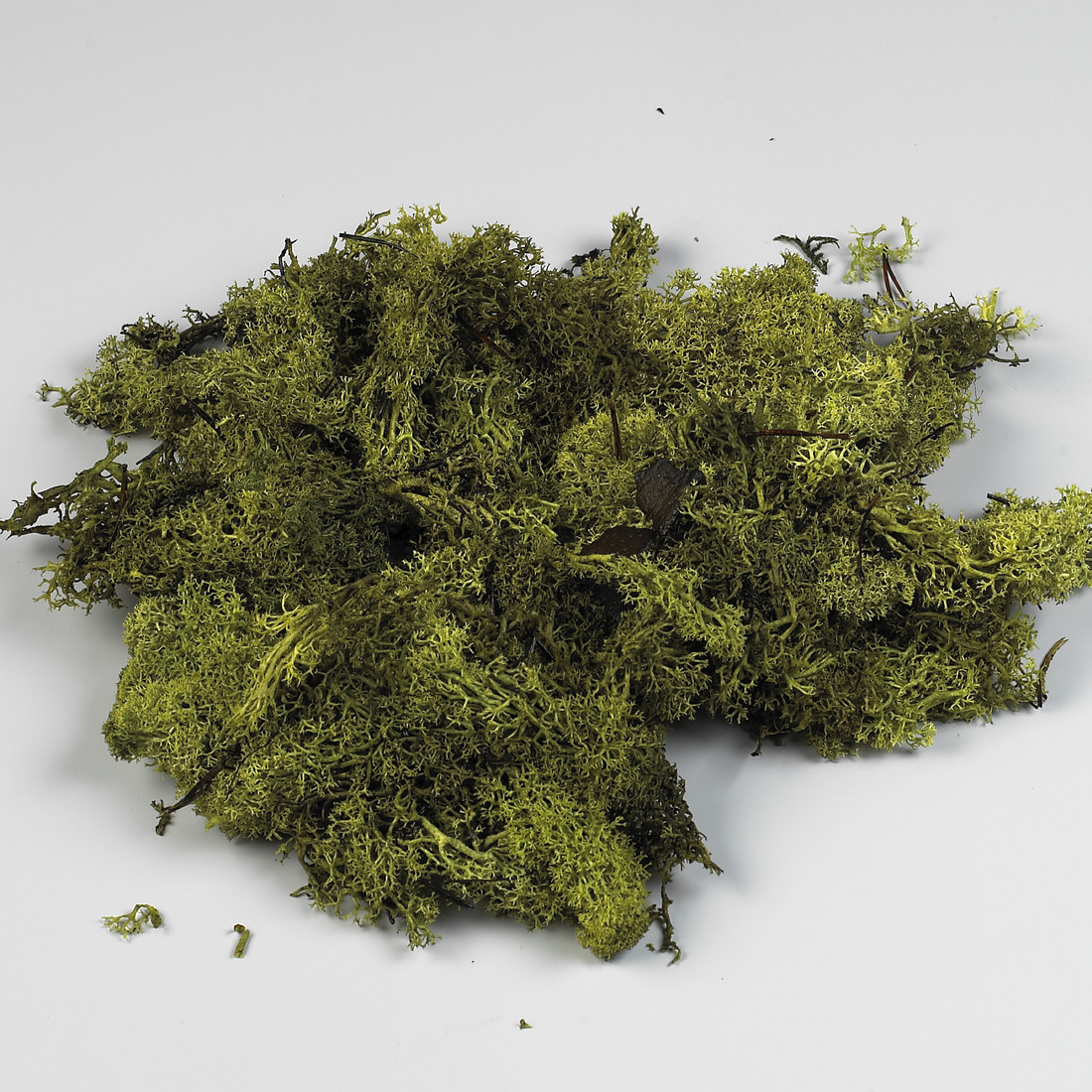 IJslandmos 100 g groen