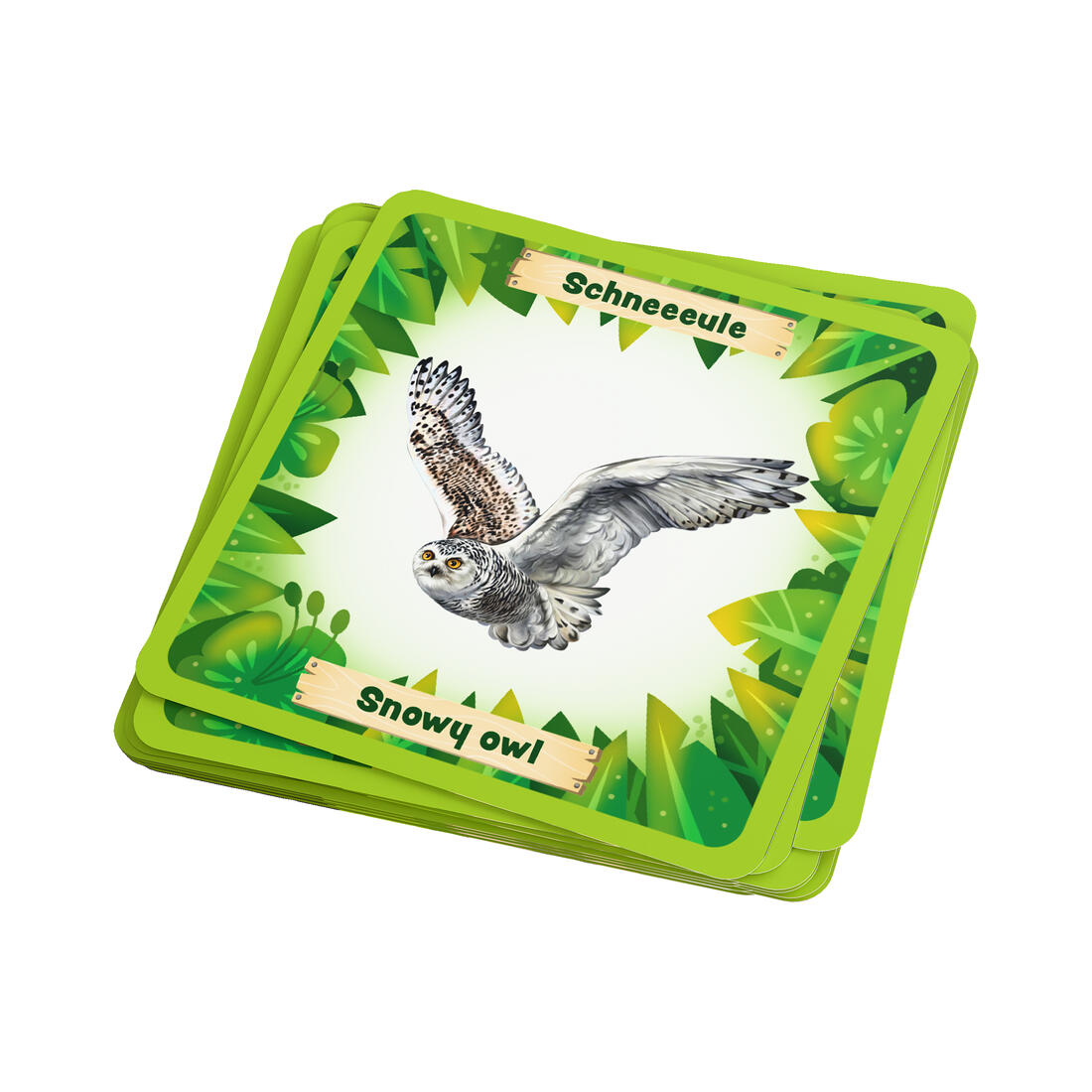 Animals around the world Bingo 8+ Animals around the world Bingo 8+