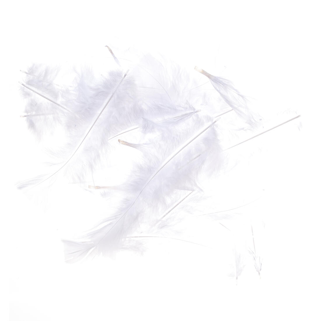 Pluim flats groot 15 cm ca. 60 stuks