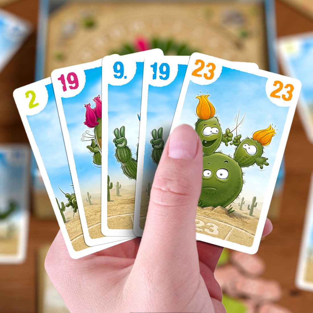 King Cactus 8+ King Cactus 8+