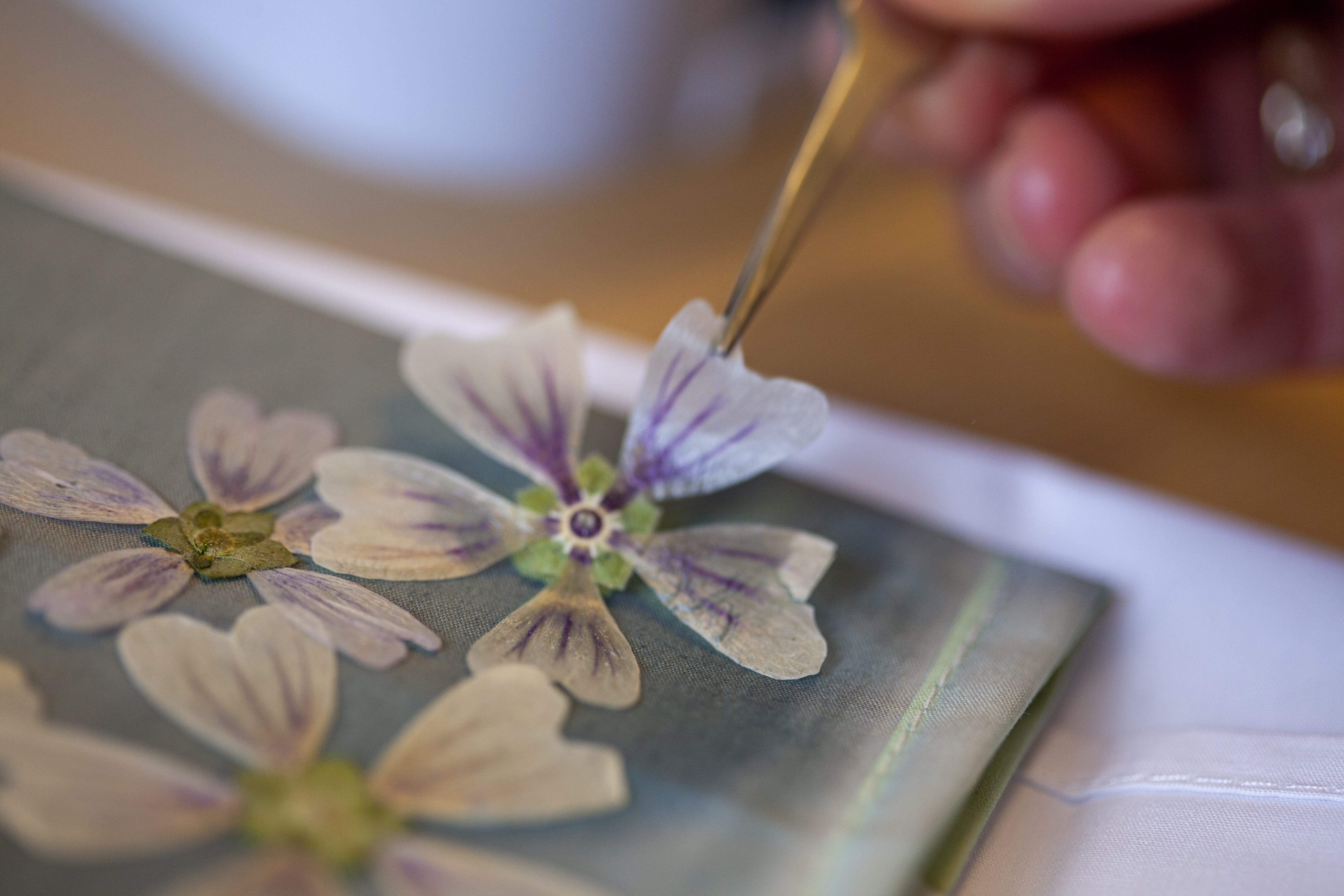 Blauwdrukken op papier