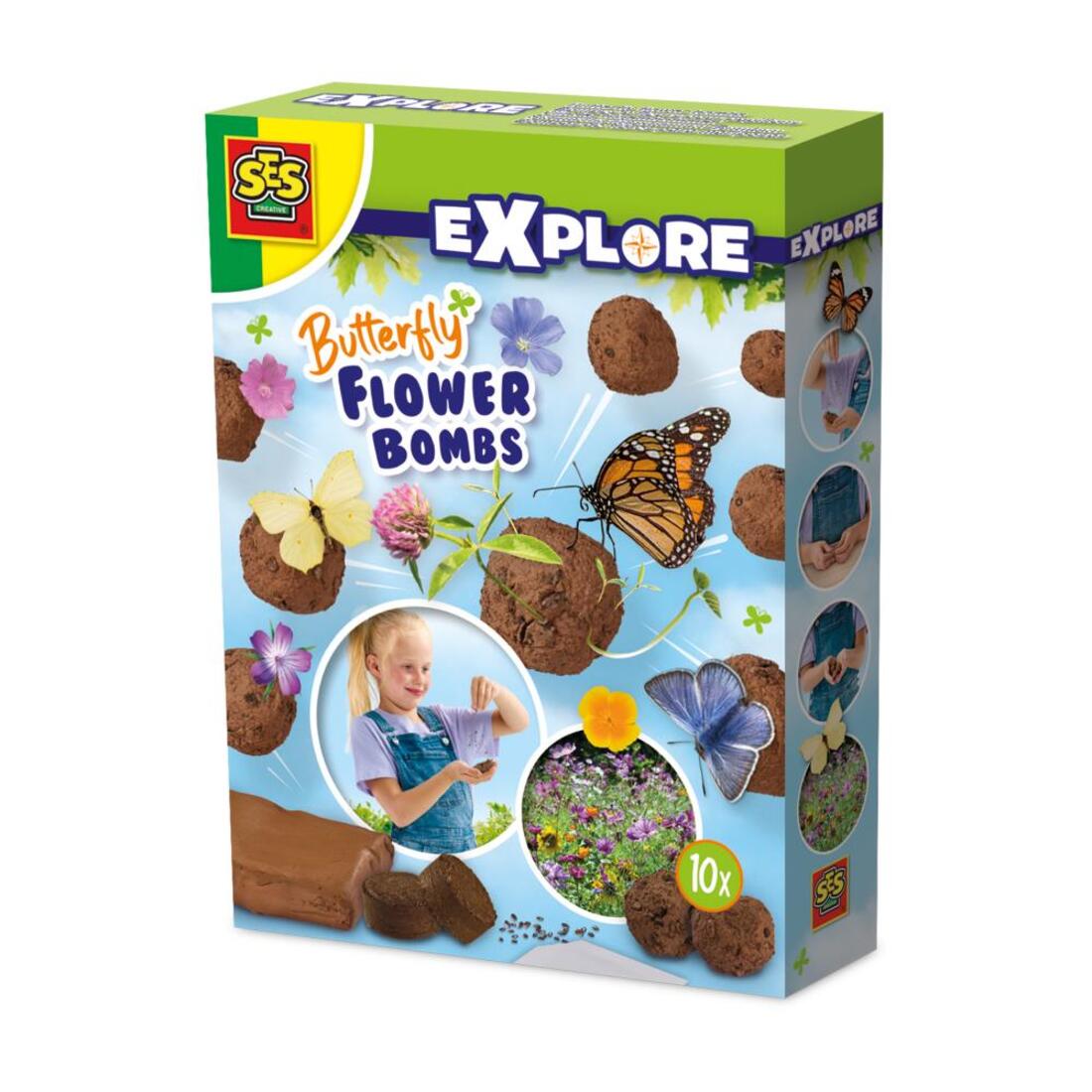 Ses vlinder bloembollen 5+