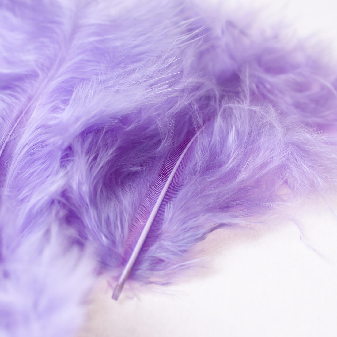 Deco veertje 10 stuks Deco veertje 10 stuks