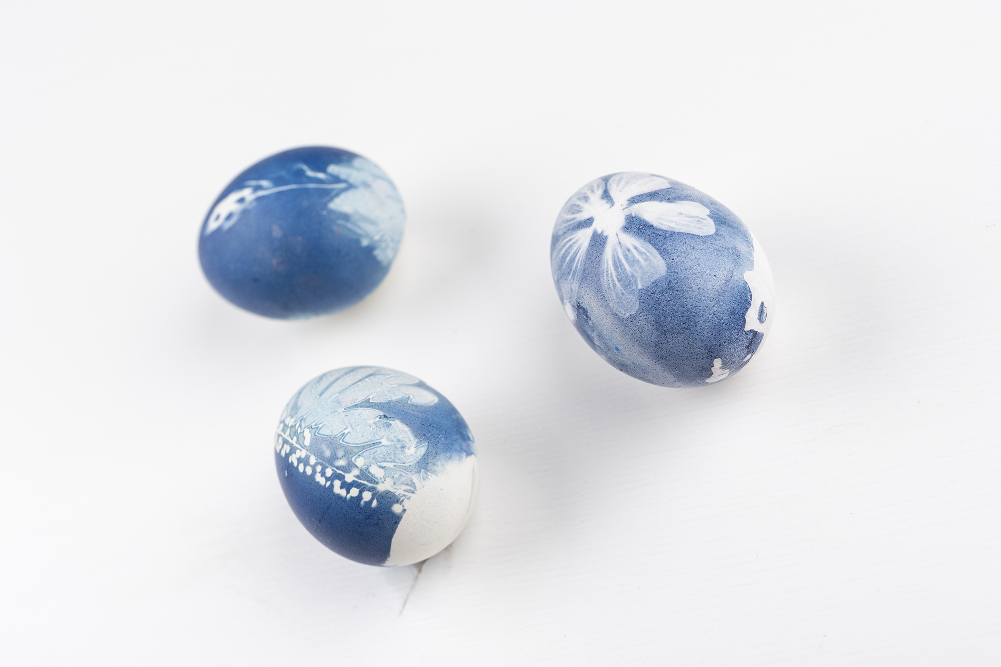 Blauwdrukken op eieren