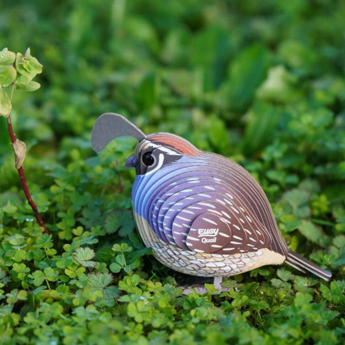 Eugy 3D karton vogel - kwartel