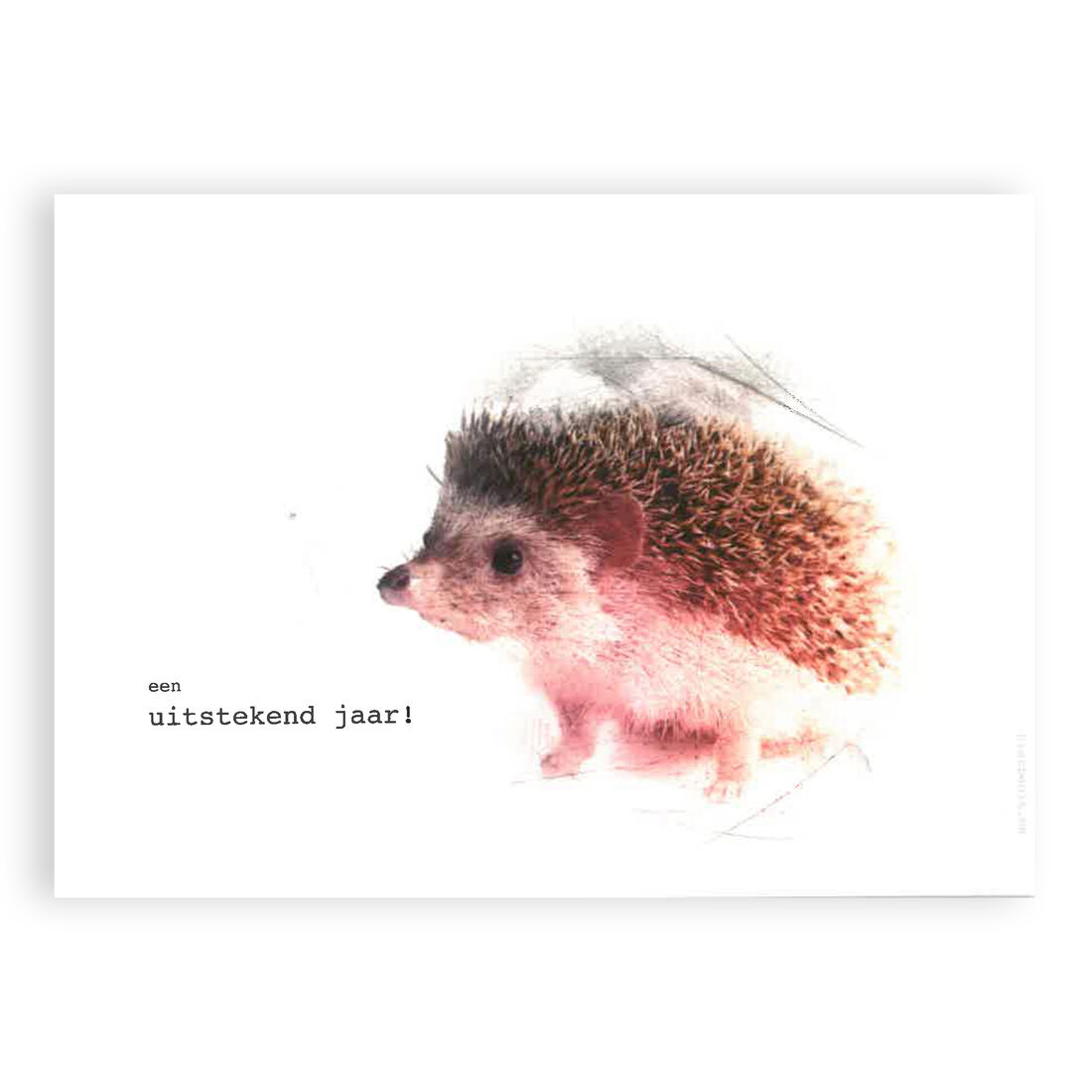 Postkaart - Een uitstekend jaar! Postkaart - Een uitstekend jaar!