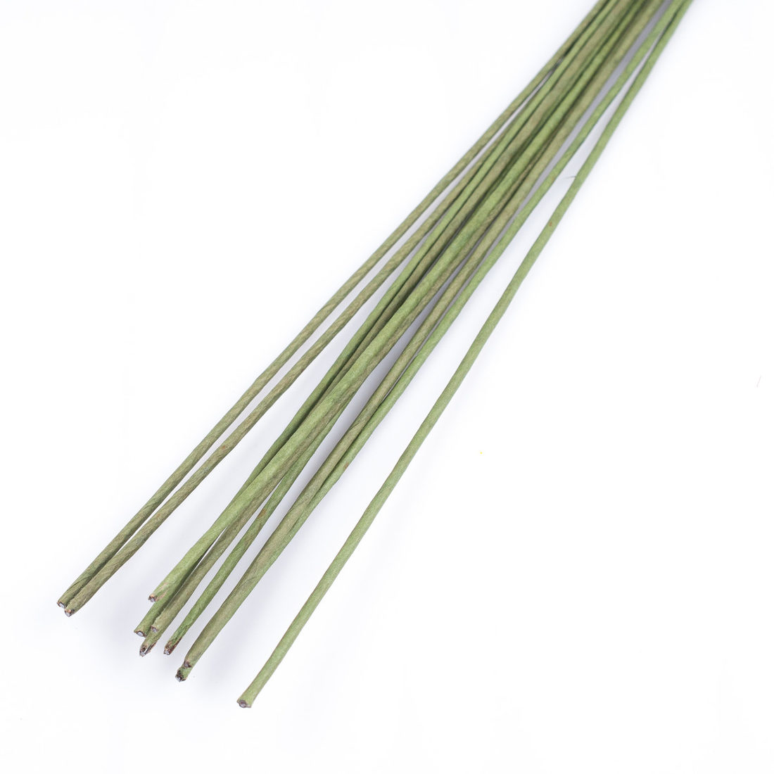 Bloemstokken 40 cm 10 st Bloemstokken 40 cm 10 st