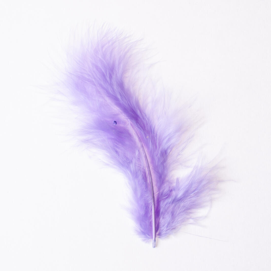 Deco veertje 10 stuks Deco veertje 10 stuks