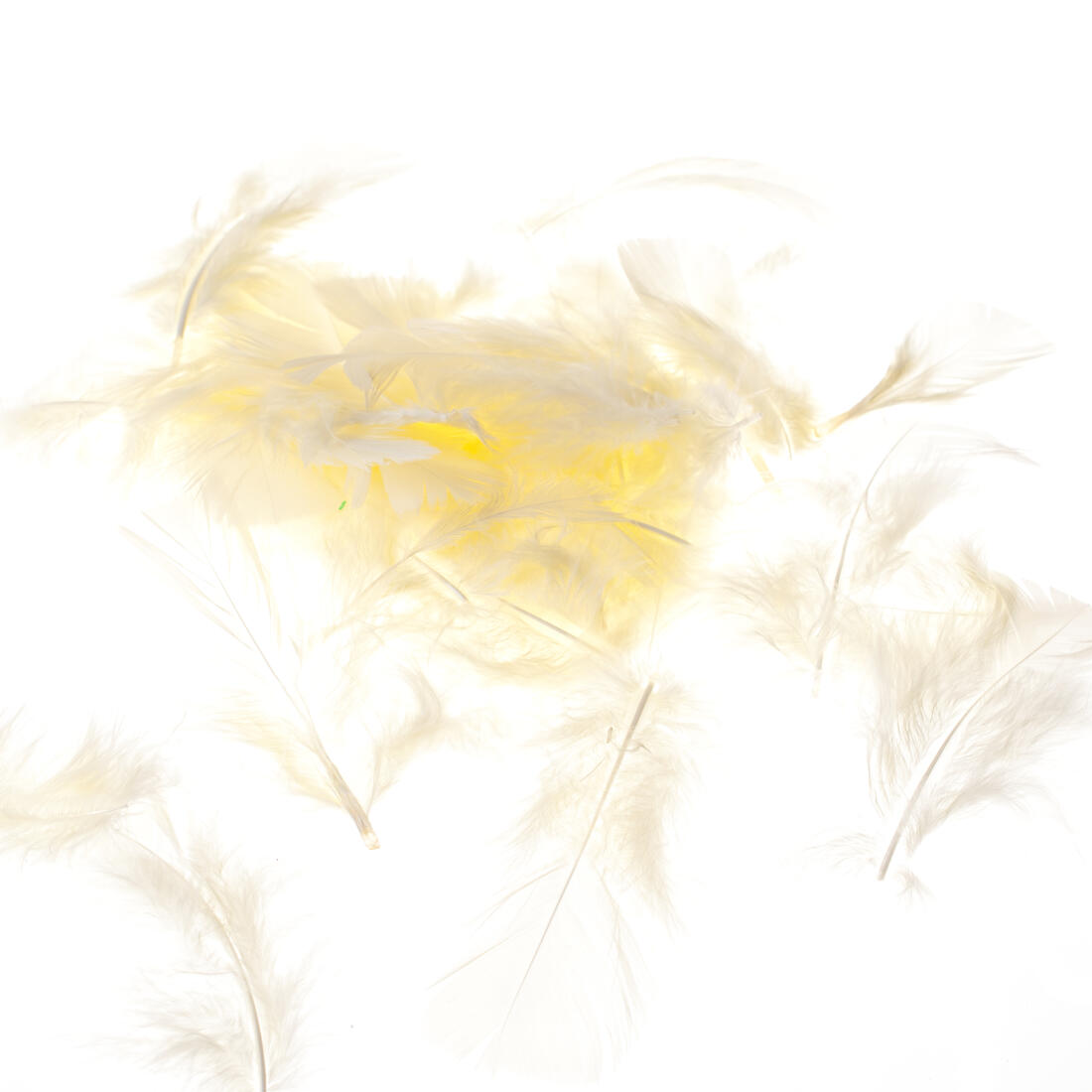 Pluim turckey 5 à 10 cm ca. 80 stuks Pluim turckey 5 à 10 cm ca. 80 stuks