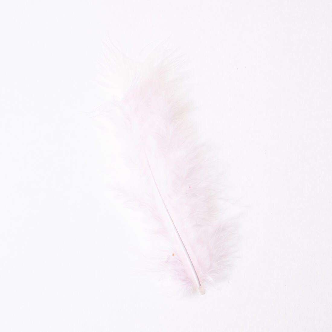 Deco veertje 10 stuks Deco veertje 10 stuks