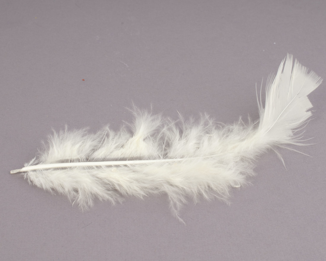 Pluim flats groot 15 cm ca. 60 stuks