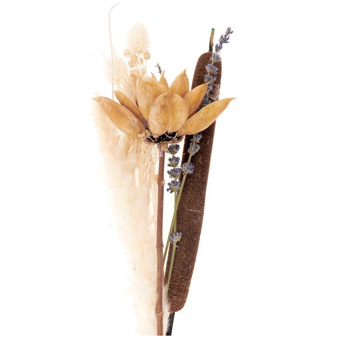 Droogbloemen mix 30 cm naturel oranje
