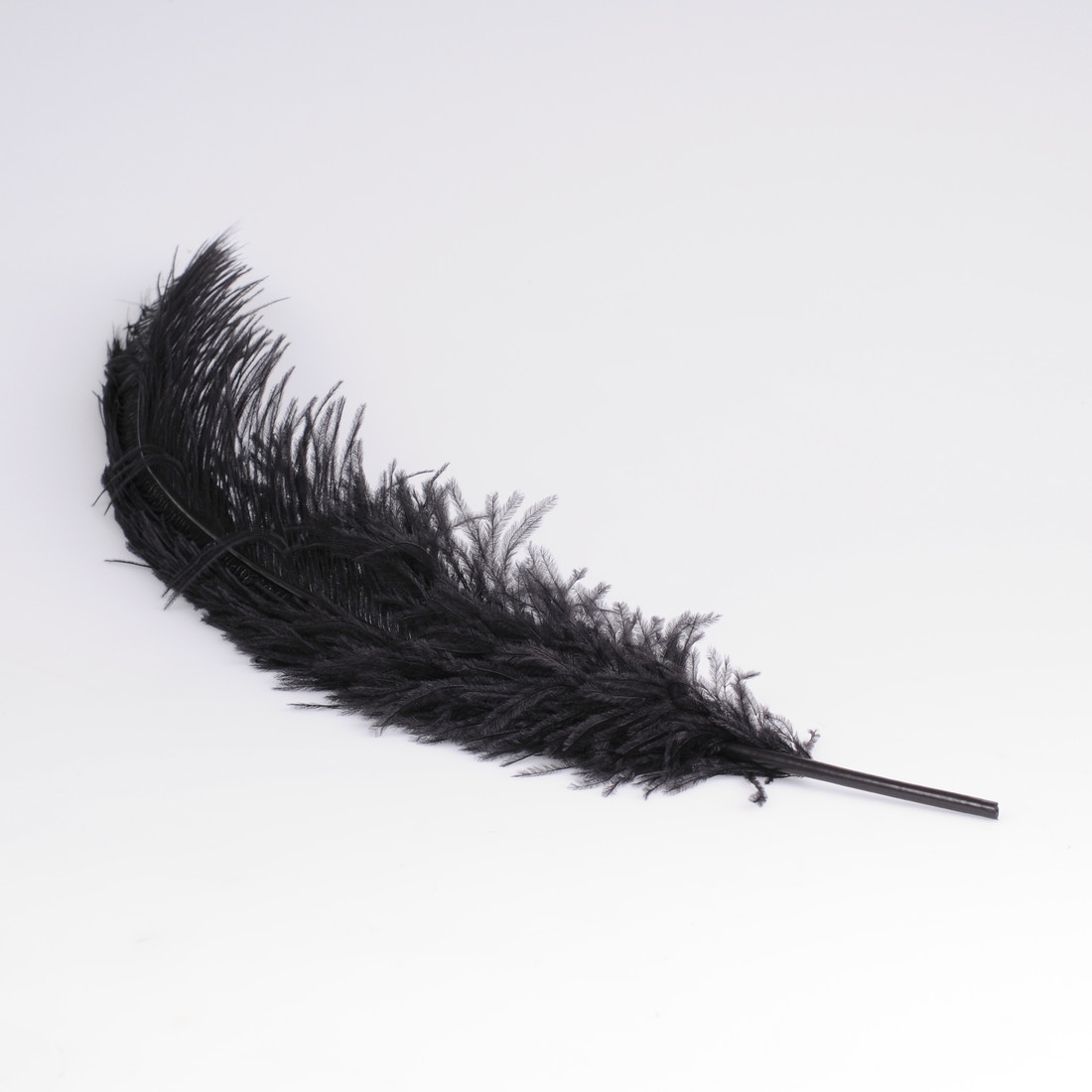 Krea Feathers pluim struisvogel 60 cm