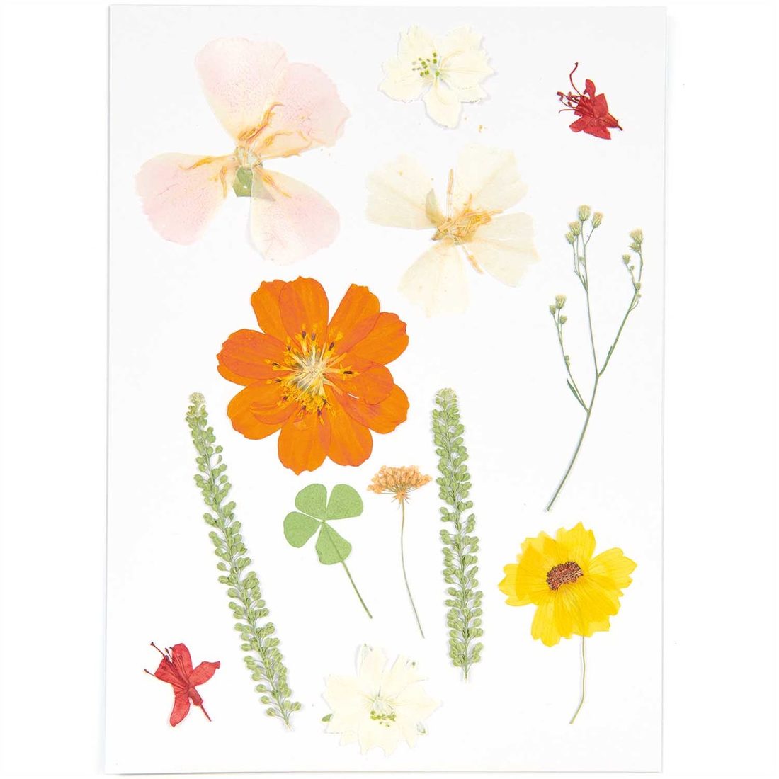Geperste bloemen mix naturel oranje