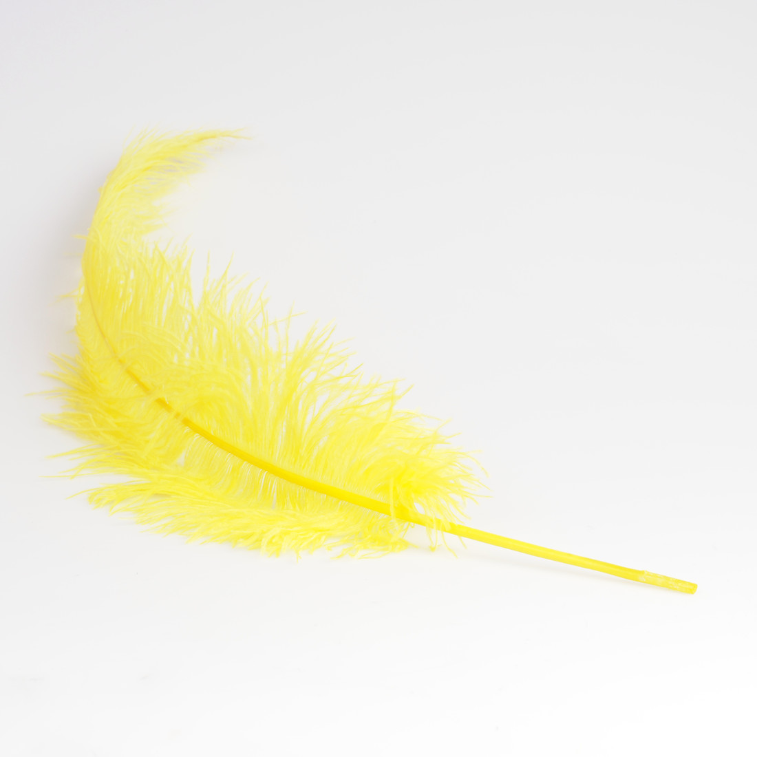 Krea Feathers pluim struisvogel 60 cm Krea Feathers pluim struisvogel 60 cm