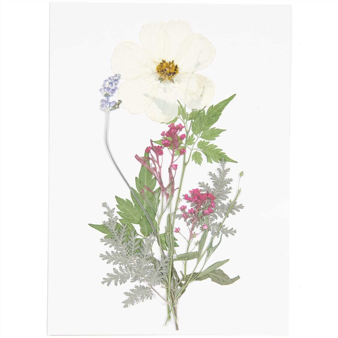 Geperste bloemen mix violet wit