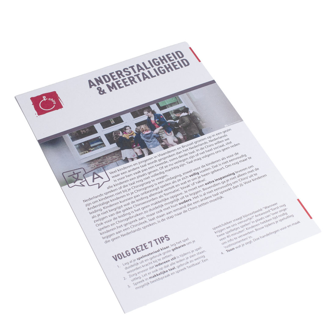 Diversiteitsfiche: anders- en meertaligheid
