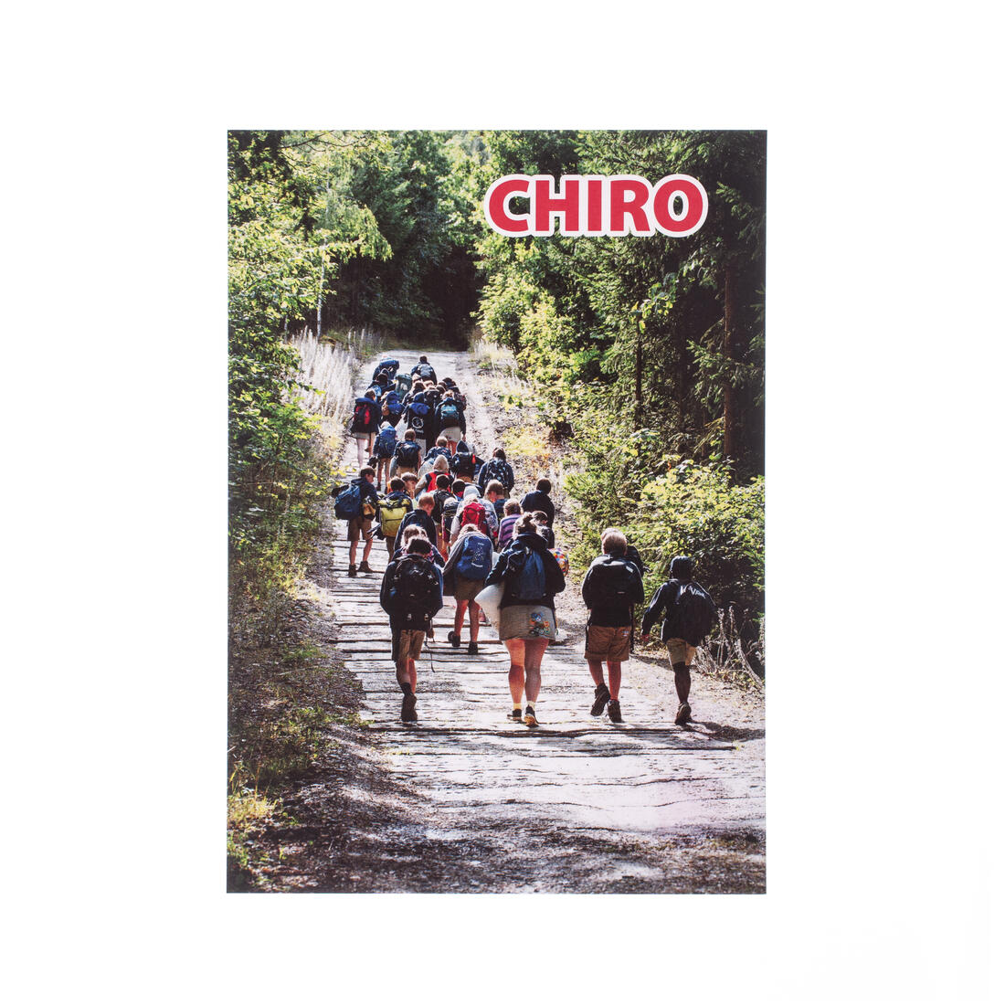 Bivakpostkaart 25 tocht door bos 20 stuks Bivakpostkaart 25 tocht door bos 20 stuks