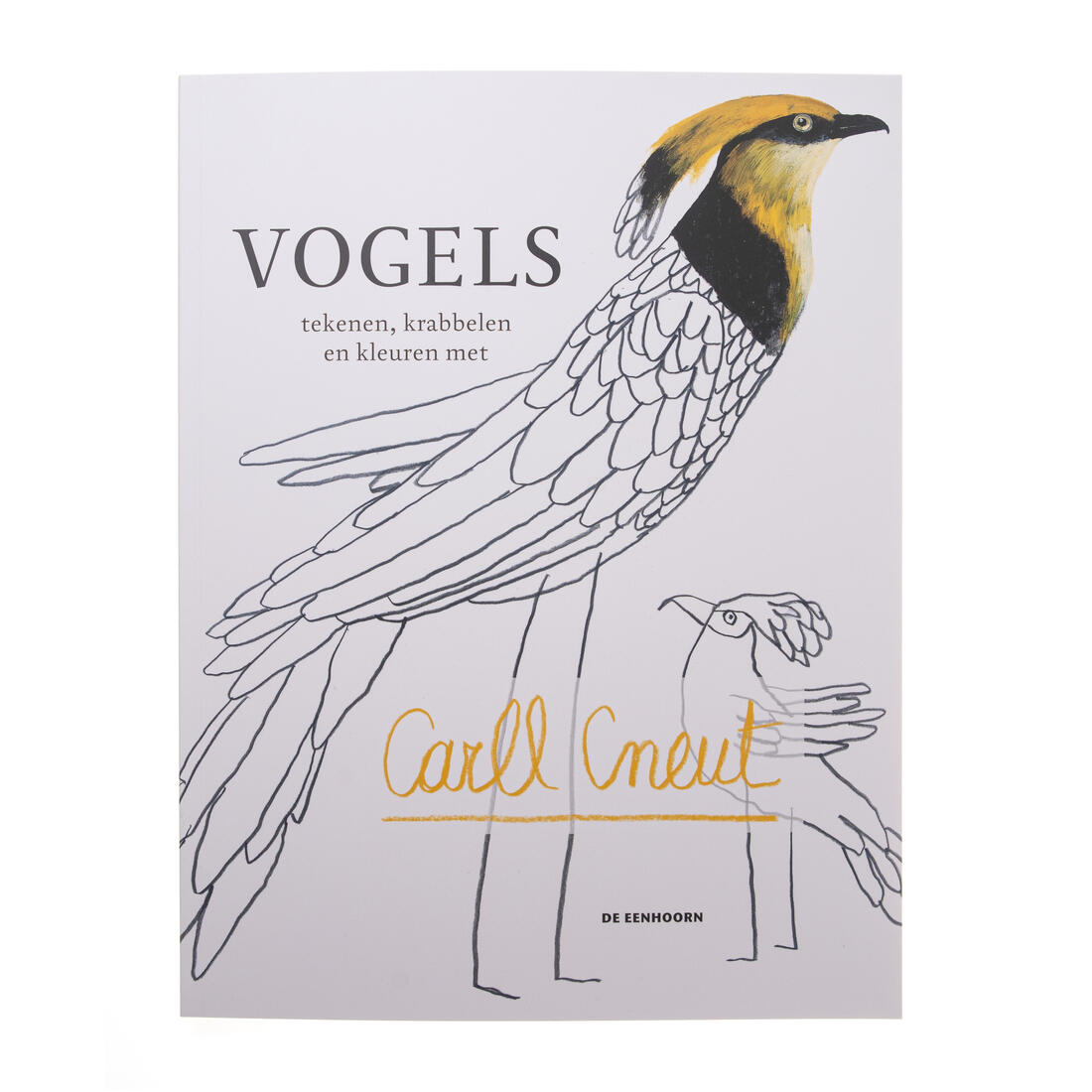 Vogels tekenen, krabbelen en kleuren