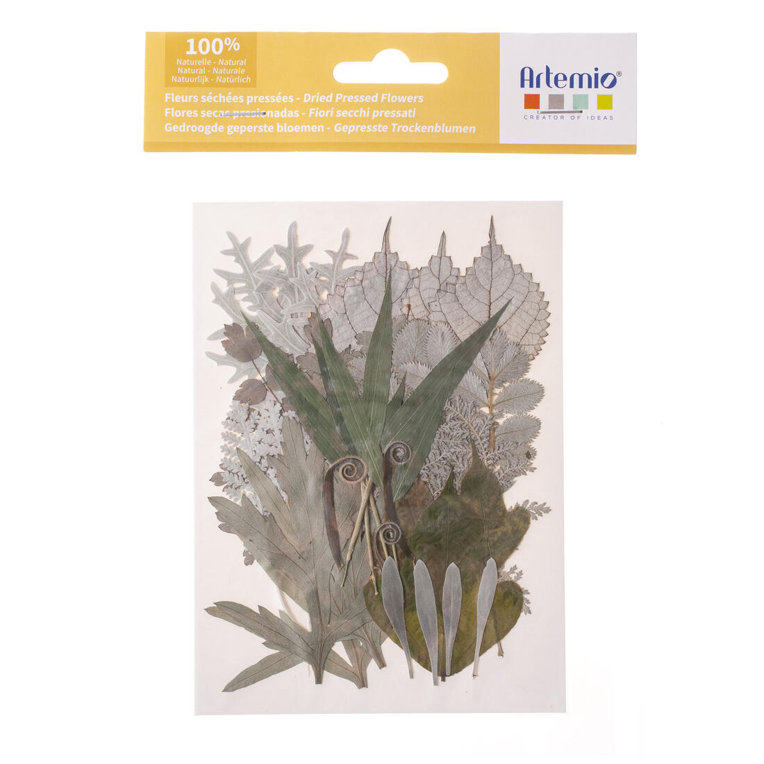 Gedroogde bladeren 35 stuks