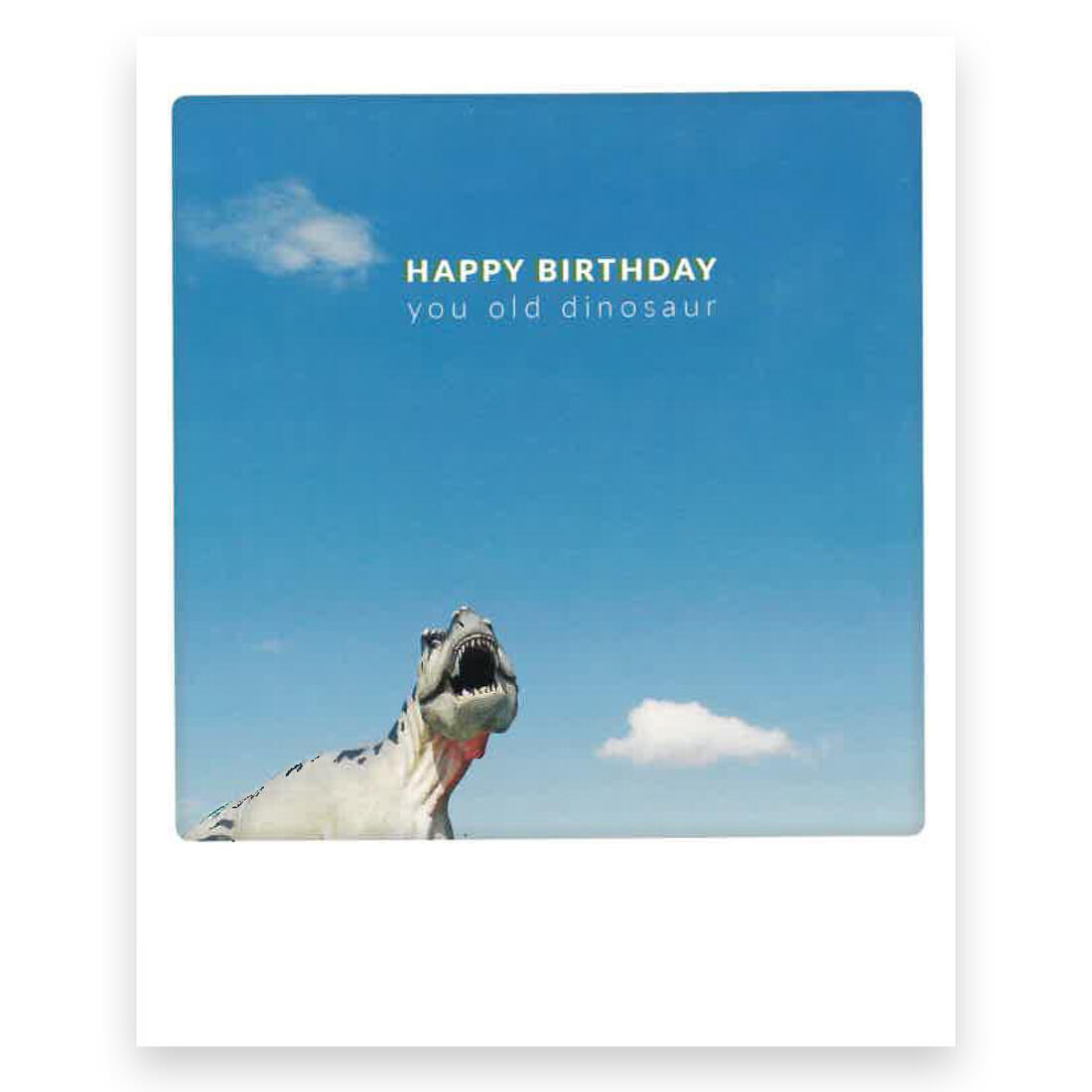 Postkaart - You Old Dinosaur Postkaart - You Old Dinosaur