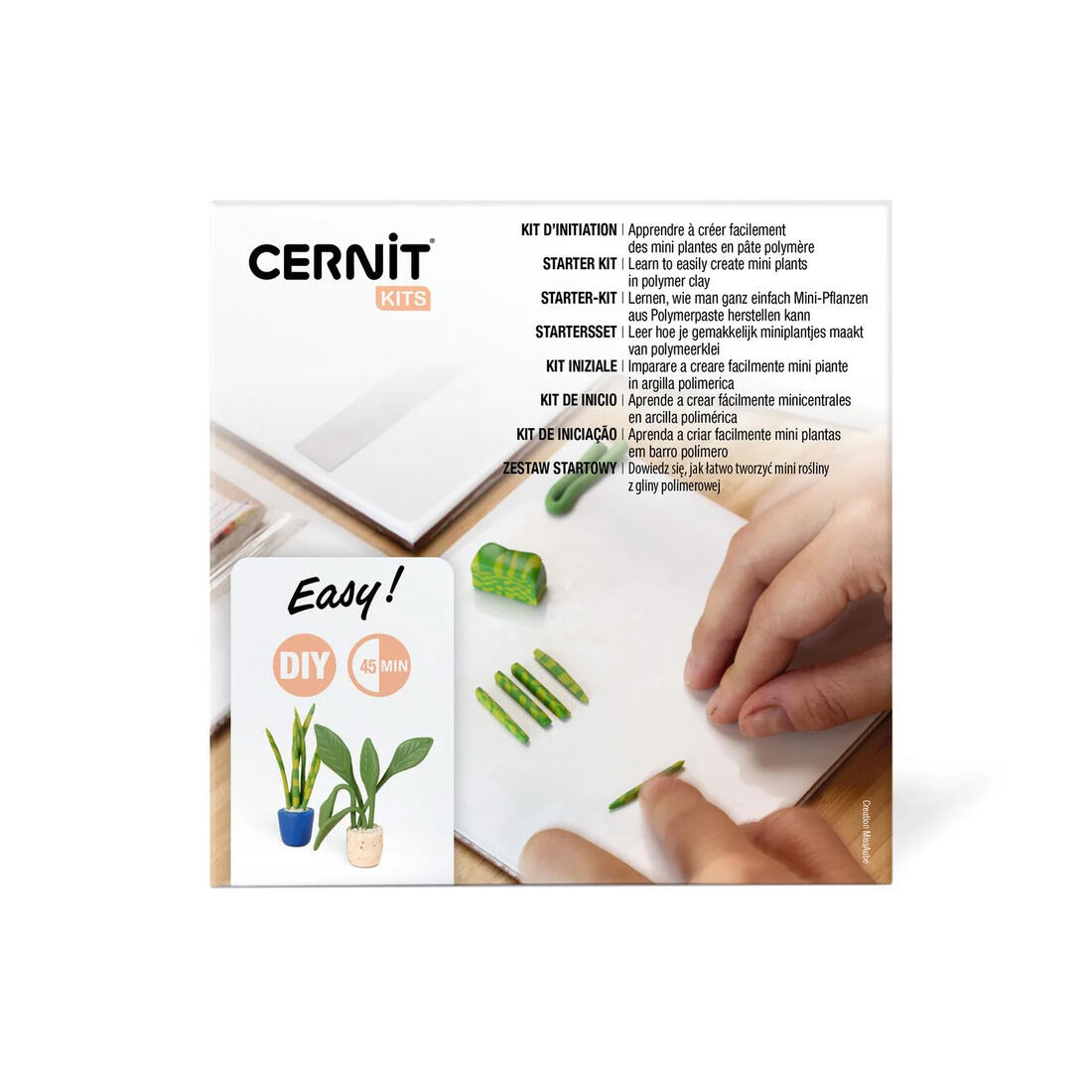 Cernit starter kit miniatuur planten