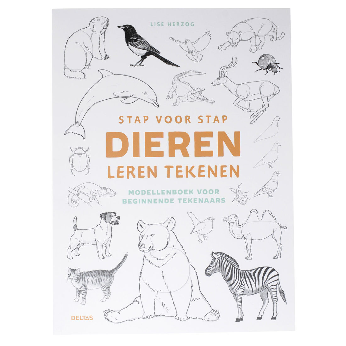 Stap voor stap dieren leren tekenen